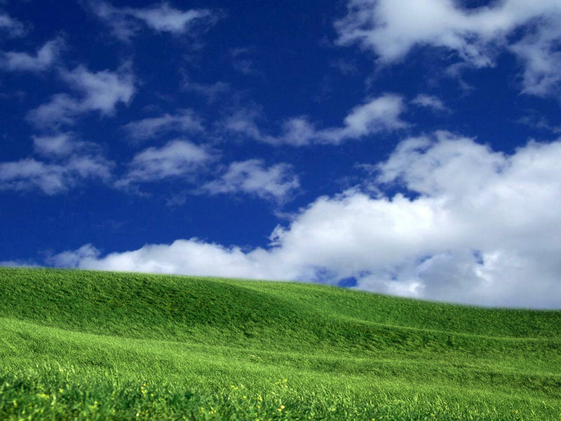 撕裂的末日 撕裂的末日免费完整版观看